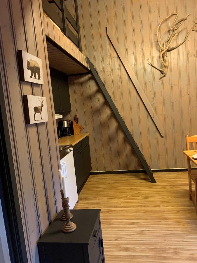Enok Hytter & Resort Liagardane Luaran gambar